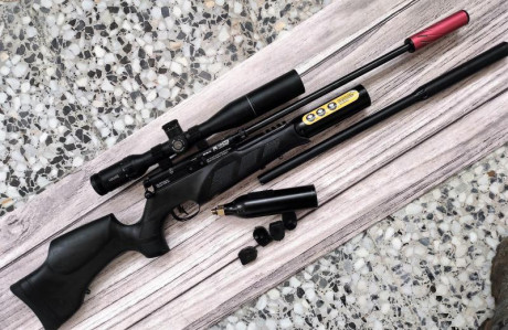 Para nuevo proyecto, voy a quitar algunas carabinas, entre ellas esta, es una BSA R10 SE Black, Calibre 01