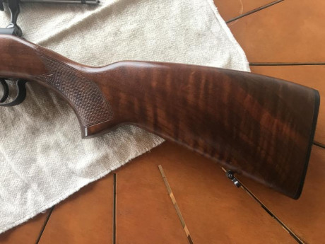 Hola, pongo a la venta esta carabina Cz 452 calibre 22 muy bien conservada.

Tiene una gran precisión. 00