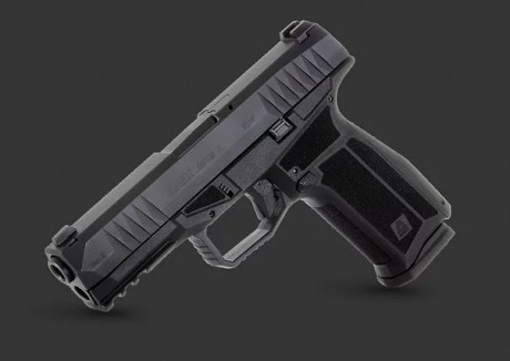 Hola, el otro dia tuve la oportunidad de tener en las manos una pistola Arex, no se el modelo pero era 00