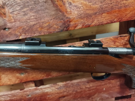  Foto de Francisco (3).jpg 
 Foto de Francisco (4).jpg 
 Foto de Francisco (5).jpg  01