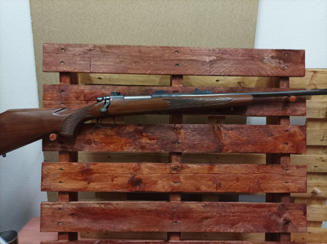  Foto de Francisco (3).jpg 
 Foto de Francisco (4).jpg 
 Foto de Francisco (5).jpg  10