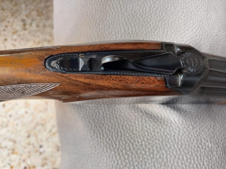 Buenas noches,

Un amigo vende la Browning B25 de plato. Impecable y casi sin uso. Aún va duro el cierre. 131