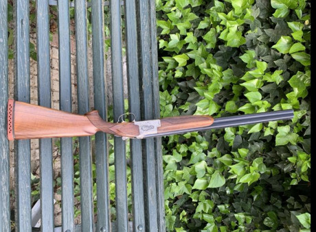 Hola, vendo escopeta calibre 12, choques 3 y 1, 71 cm de cañón y monogatillo.
Es un modelo de gran exclusidad 40