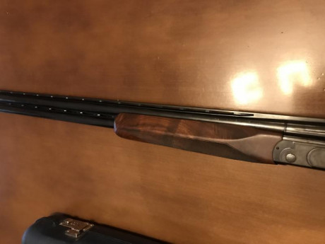 Buenos días, cambio escopeta Sporting de 75cm con chokes y culata regulable de zurdo, por rifle de zurdo 11