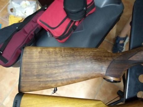 Se vende repetidora beretta 301, cañón de 71 cm, ánima 18.3, choke indica ** , pero el armero midió y 02