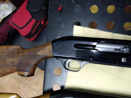 Se vende repetidora beretta 301, cañón de 71 cm, ánima 18.3, choke indica ** , pero el armero midió y 01