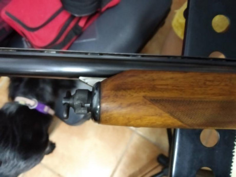 Se vende repetidora beretta 301, cañón de 71 cm, ánima 18.3, choke indica ** , pero el armero midió y 20