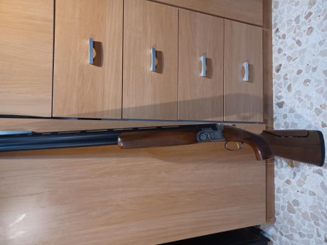 Vendo beretta silver pigeon trap con 75cm de cañon, de 1* y 2* fijas con su maletín original rígido de 02