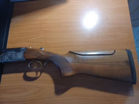 Vendo beretta silver pigeon trap con 75cm de cañon, de 1* y 2* fijas con su maletín original rígido de 12