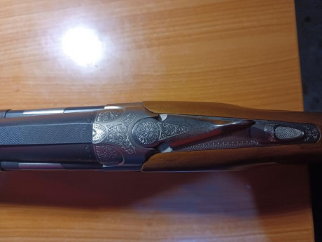 Vendo beretta silver pigeon trap con 75cm de cañon, de 1* y 2* fijas con su maletín original rígido de 11
