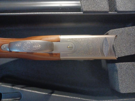 Vendo beretta silver pigeon trap con 75cm de cañon, de 1* y 2* fijas con su maletín original rígido de 10