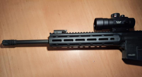 Vendo carabina S&W MP15 .22 en estado impecable, con punto rojo BUSHNELL 3 x 42 y tres cargadores 00