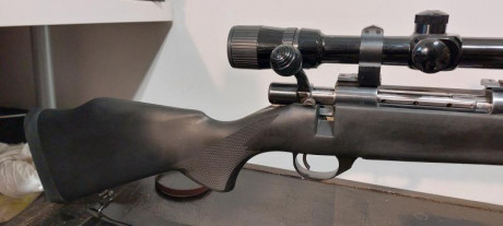 Buenas.
Calibre 300 win mag
Culata nueva
Cañon 63cm
Cambiaria este rifle, solo rifle con bases por un 02