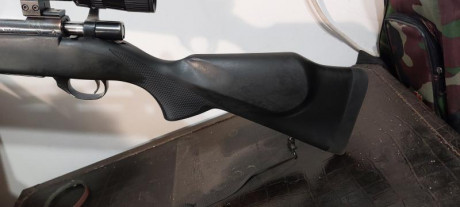 Buenas.
Calibre 300 win mag
Culata nueva
Cañon 63cm
Cambiaria este rifle, solo rifle con bases por un 12