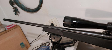 Buenas.
Calibre 300 win mag
Culata nueva
Cañon 63cm
Cambiaria este rifle, solo rifle con bases por un 10