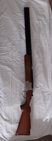 amigo mio vende esta escopeta, esta practicamente nueva bien cuidada con poco uso, solo ha disparado 300 02