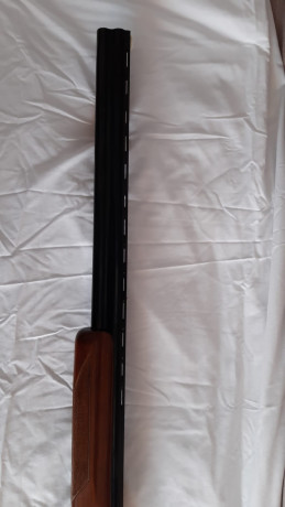 Un amigo mio vende esta escopeta, esta practicamente nueva, bien cuidada Y con poco uso, solo ha disparado 11
