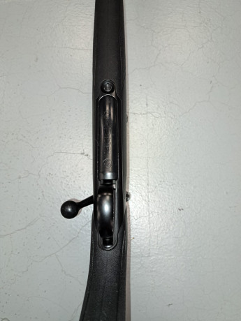 Un amigo me pide que le anuncie, este fantástico rifle.
Sauer Mod 202 XT Fluted sintético 
Cal 7mmRemington 00