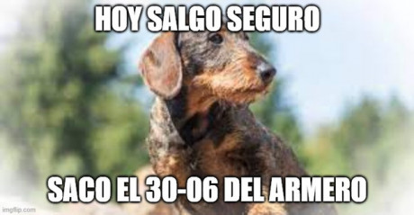 Buenos días a todos:

Desde que empecé en la caza mayor, hace ya muchos años, lo hice con un 30-06 pero 130