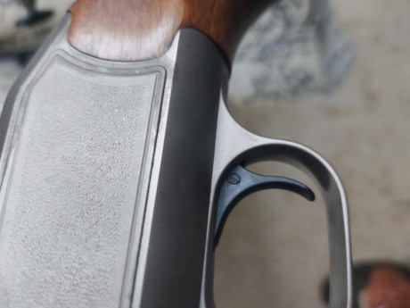 Hola compañeros aver si alguien sabe decirme,que posible problema o desgaste podrá tener un blaser r93 20
