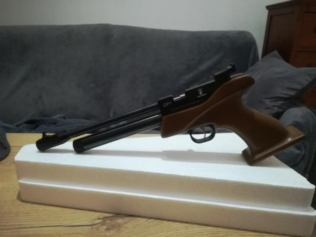 Recientemente he adquirido una pistols de CO2 Zasdar CP 1 y aunque al principio estaba bastante satisfecho 00