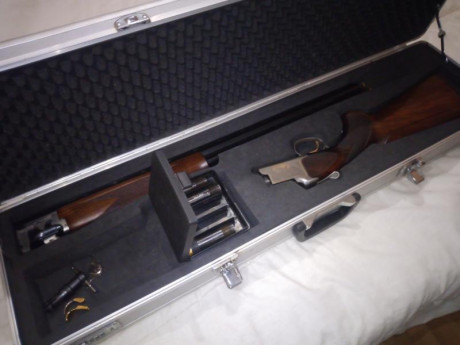 Se vende escopeta superpuesta Browning Ultra XS cal .12 cañón de 71cm.
Con maletín incluido, chokes, gatillos...
Está 00