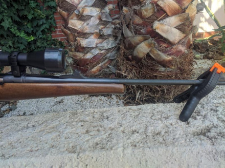 Vendo Remington Seven Calibre 7mm08 con culata de madera, cantonera modificada de calidad pues me quedaba 00