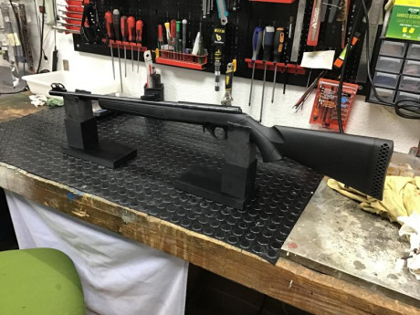 Vendo carabina Mossberg 802 plingkster del 22LR.
Me urge venderla para hueco. Esta nueva solo he disparado 01