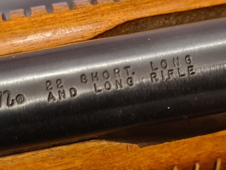 Vendo esta preciosa Remington 572 Fieldmaster cal.22 de corredera. Una carabina muy dificil de ver por 170