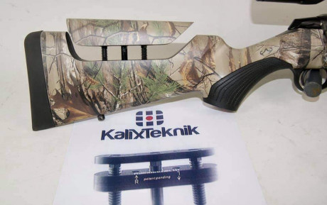 Hola gente!!! Estoy pensando en colocar en uno de mis rifles una ajustable, y mi duda es si vale la pena, 10