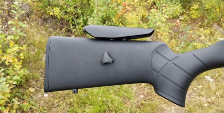 Hola gente!!! Estoy pensando en colocar en uno de mis rifles una ajustable, y mi duda es si vale la pena, 20