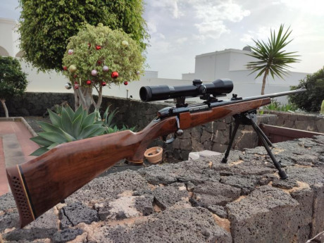 Buenos días compañeros, os cuento, desde hace bastante cazo exclusivamente con un 270 winchester con plena 00