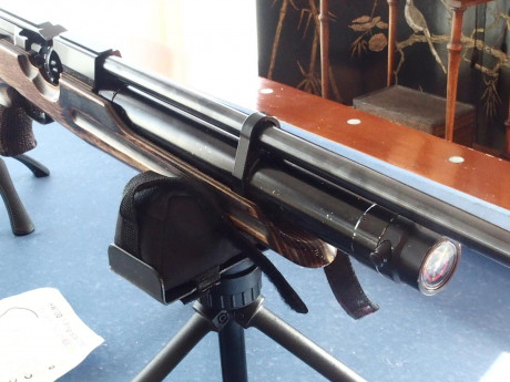Vendo carabina Weihrauch HW100 T 4.5, alemana de calidad superior y extraordinaria precisión (es un bisturí).Se 90
