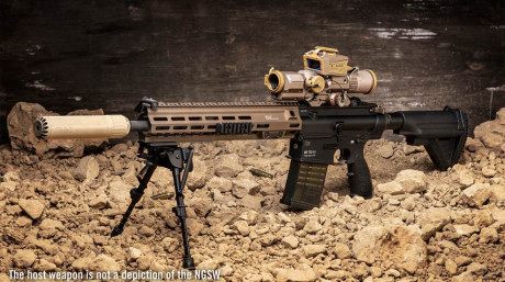 Solo me asalta esta duda principal, secundarias muchas. Lo expongo:

a) El Fusil Automático Tipo 95 Chino, 111