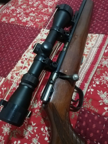 Hola,
¿cuál es para vosotros la mejor carabina del 22 con miras abiertas?
Me refiero a precisión en 50 130