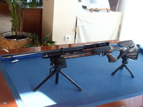 Vendo carabina Weihrauch HW100 T 4.5, alemana de calidad superior y extraordinaria precisión (es un bisturí).Se 30