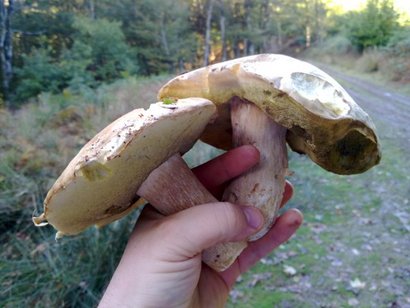 Pues eso,llevo en mente flotar el cañon de mi Sta.barbara c75 del 308w.Y la pregunta es ¿bastara con 1mm 100