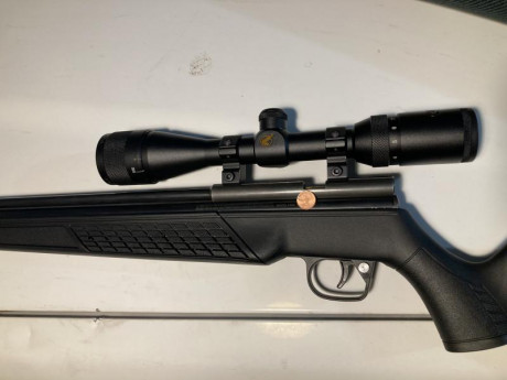 Aparte de las Crosman 1337 hasta arriba de piezas custom (vamos, las tuneadas de toda la vida) y las sheridan 52