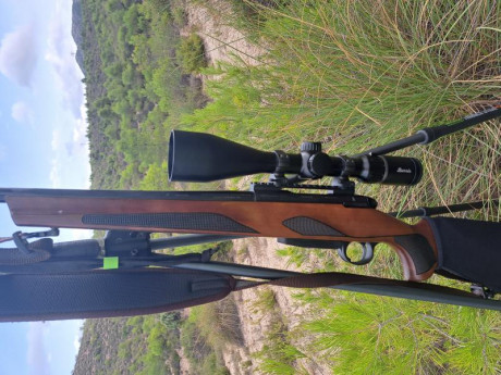 Flamante Franchi Horizon madera en calibre 300Wm.Con monturas de acero y visor Simmons protarget 4x16-40 01