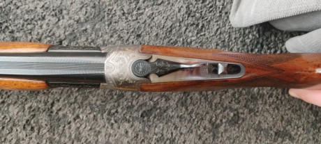 Oportunidad. Modelo 800 SW.
•	Calibre 12/70 expulsora
•	Selector de disparo
•	Cañón 76. Anima 18,4
•	Banda 10