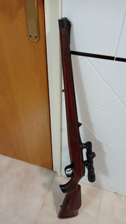  ch eso para financiar otro capricho me veo obligado a vender una de estas armas,el primero es un sauer 01