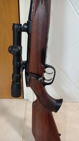  ch eso para financiar otro capricho me veo obligado a vender una de estas armas,el primero es un sauer 00