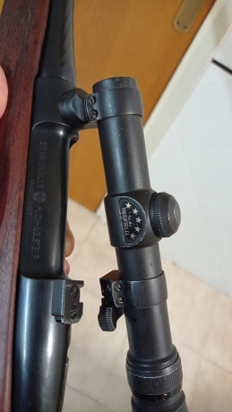  ch eso para financiar otro capricho me veo obligado a vender una de estas armas,el primero es un sauer 90