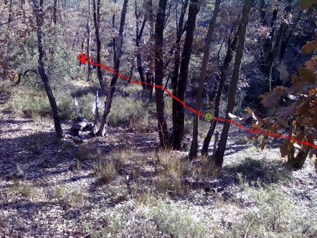  LOS ALMUERZOS DE CAZA MENOR NO CUENTAN  

Los veteranos ya sabéis como funciona esto, pero por si acaso 110