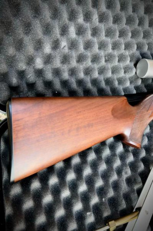 Vendo esta 1710 con Cañón Heavy Barrel en inox, vendo por que no la he usado desde que la compré. Se la 30
