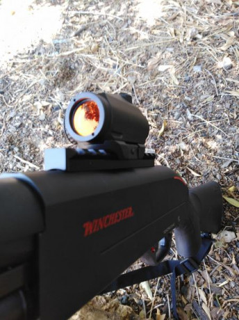 Buenas, haber si me podéis aclarar una duda, estoy pensando en comprarme un  rifle y he decidido montarle 21
