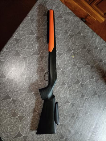 Alguien sabe algo de esta carabina del 22lr?
He buscado por el foro y no se habla de ella.
Entre este 91