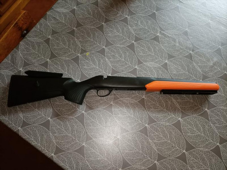 Alguien sabe algo de esta carabina del 22lr?
He buscado por el foro y no se habla de ella.
Entre este 90