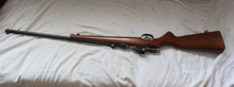 Vendo carabina 22 Santa Barbara, fabricada en Oviedo, está impoluta, no he disparado nuca con ella.
Precio 00