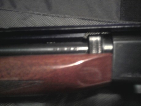Hola a todos!!!

Tengo un problema con mi norinco jw 20, ya que tiene bastante holgura en el cañón(va 40